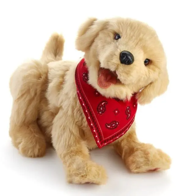 Companion Pet Golden Pup