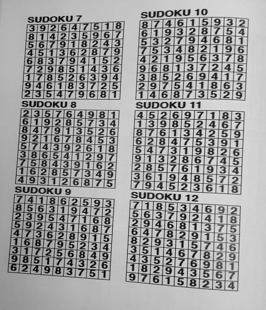 Book - Large Print Sudoku (Copy) - Image 3