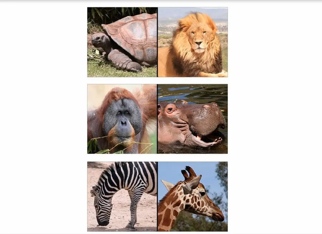Print Your Own Picture Dominoes Set 1 - Image 2