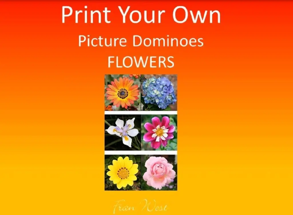 Print Your Own Picture Dominoes Set 1 - Image 6
