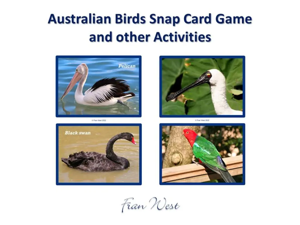 Australian Birds Snap Card Game PDF