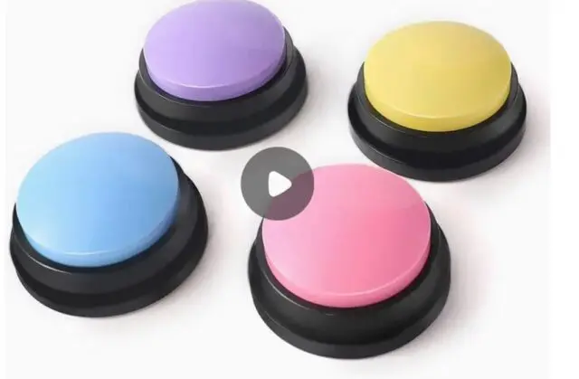 Answer Buzzers Recordable