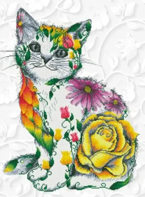 White Colourful Cat